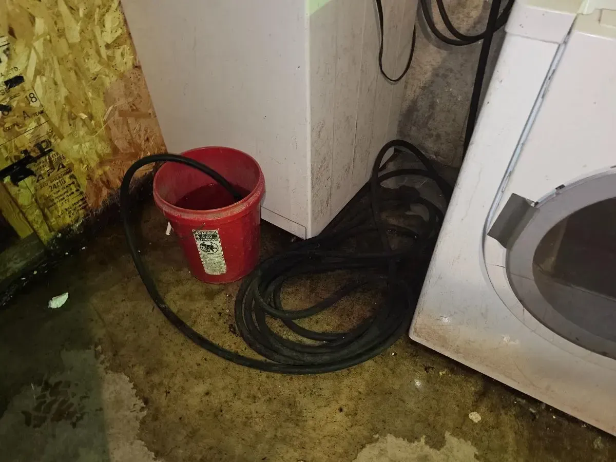 Red bucket with hose collecting water, next to white appliance and electrical cords, in wet basement corner.