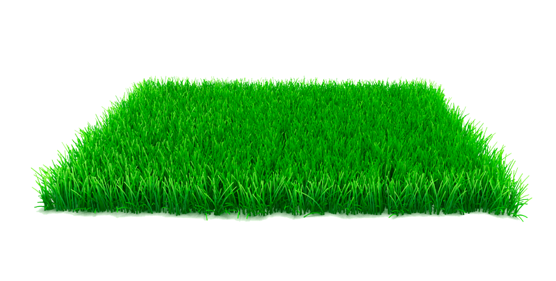 Lawn & Garden Supplies Provider in Vinton, LA