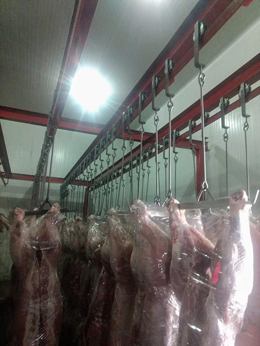 PRUEBA DE FUERZA DE CARGA Y PESOS 3