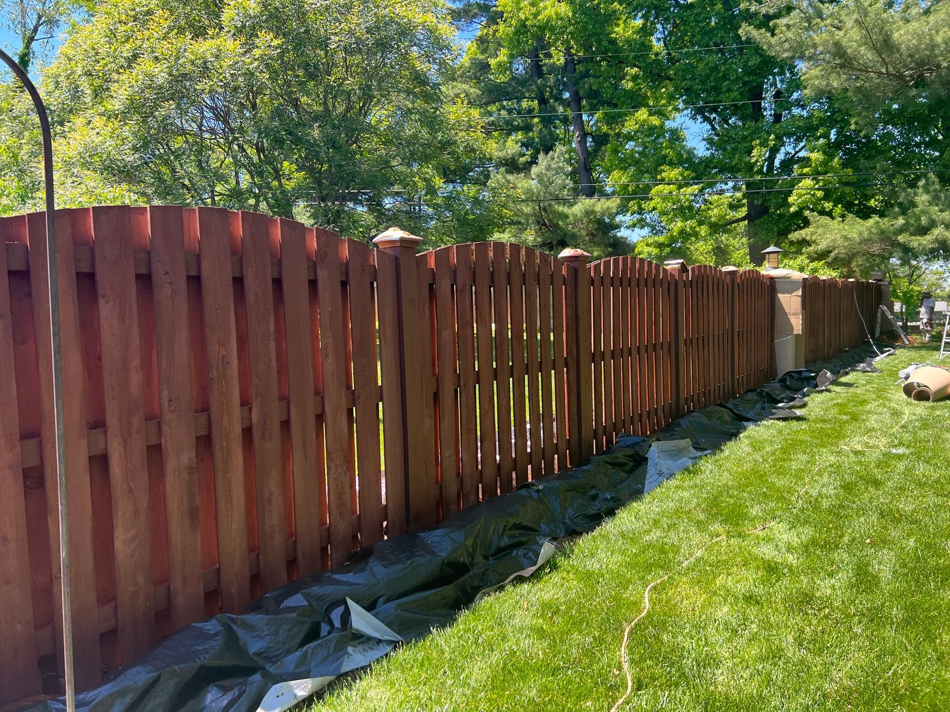 Red stained wooden fence in a sunny backyard with green grass and trees.
