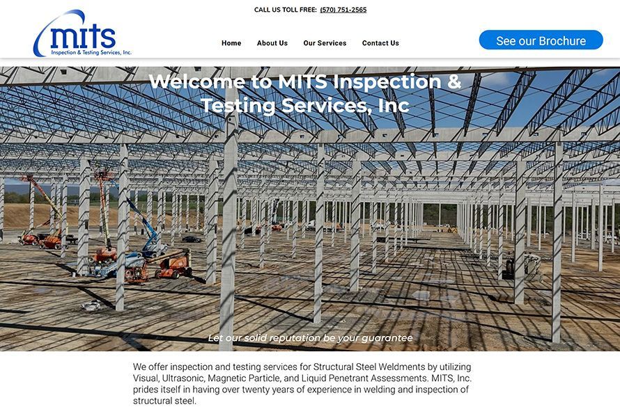 Screenshot of MITS Inspection and Testing website