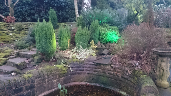 outdoor area with pond