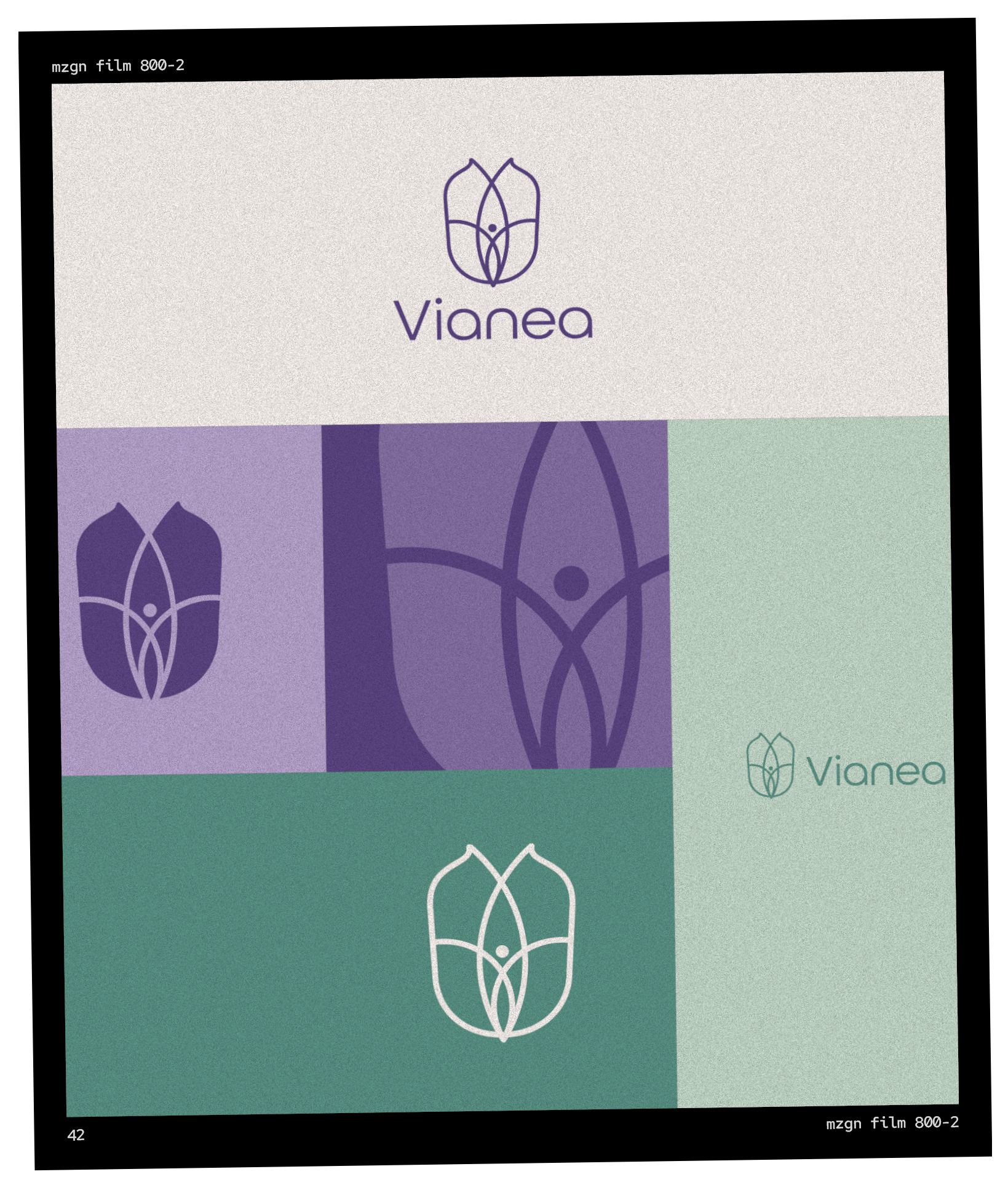 Logo-Varianten für "Vianea": Blumenemblem und Text auf farbigen Blöcken (weiß, lila, grün) in einem strukturierten Rahmen.