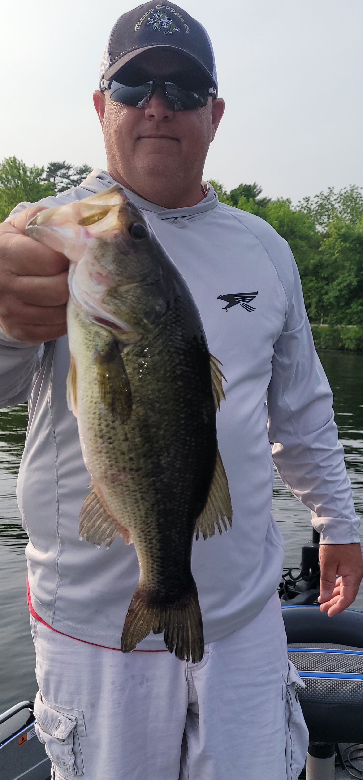 largemouth bass