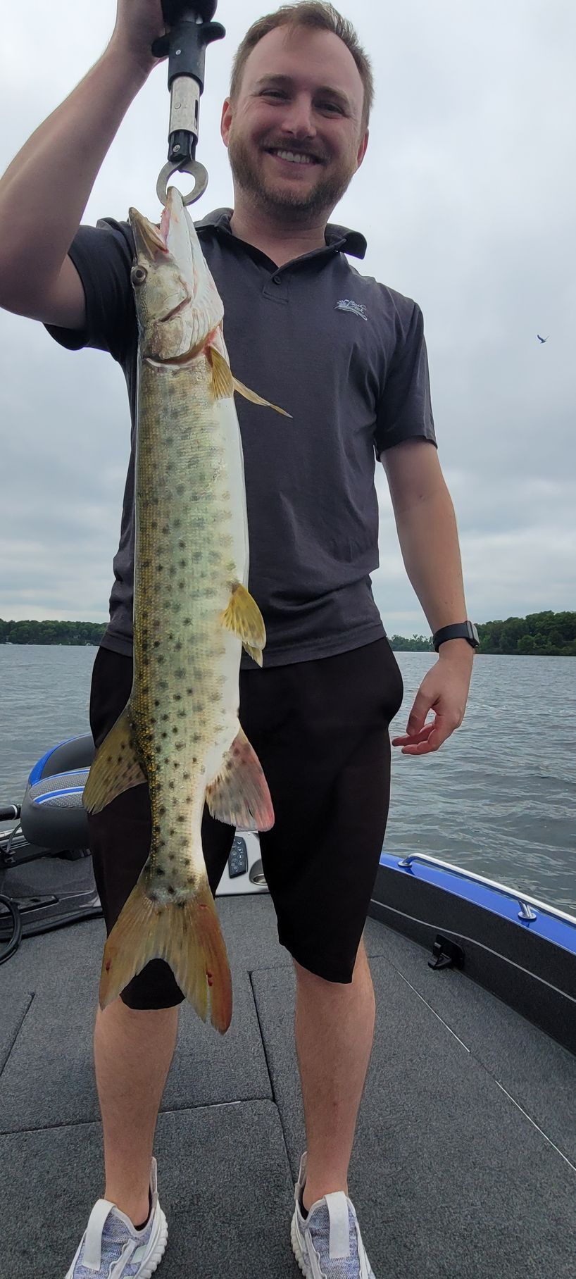 musky charter lake minnetonka