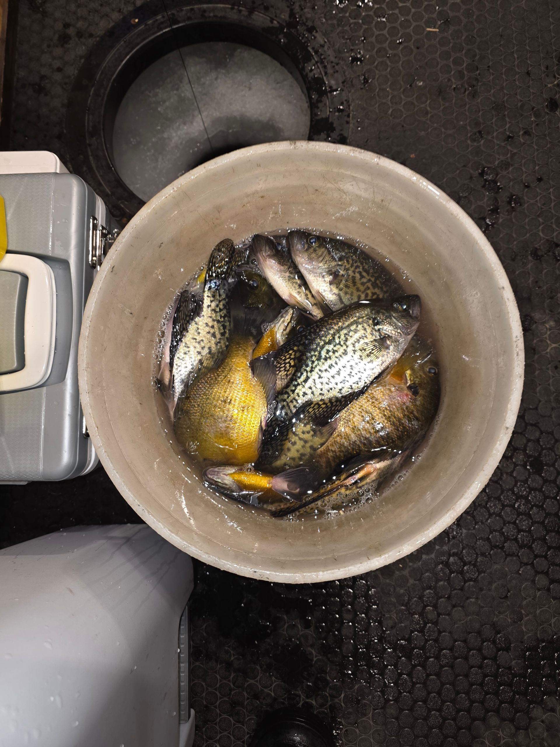 The sunfish and crappie bite has been good on Lake Minnetonka.