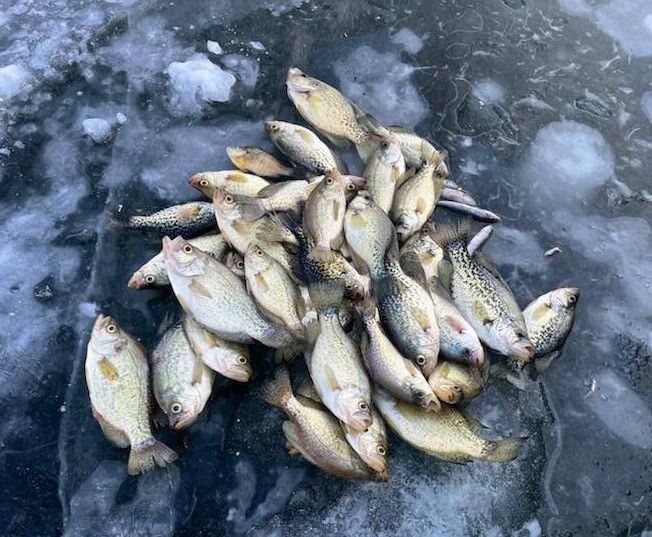 crappie ice fishing guide MN