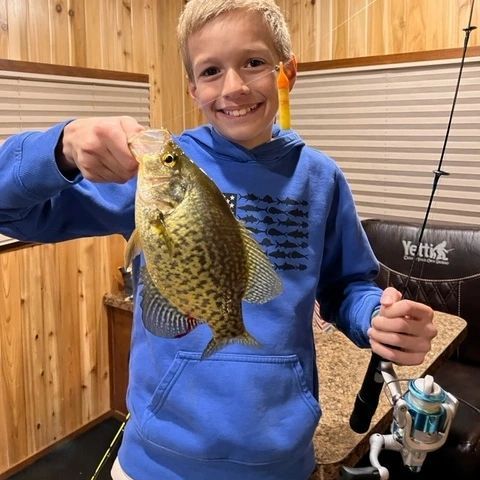 crappie ice fishing