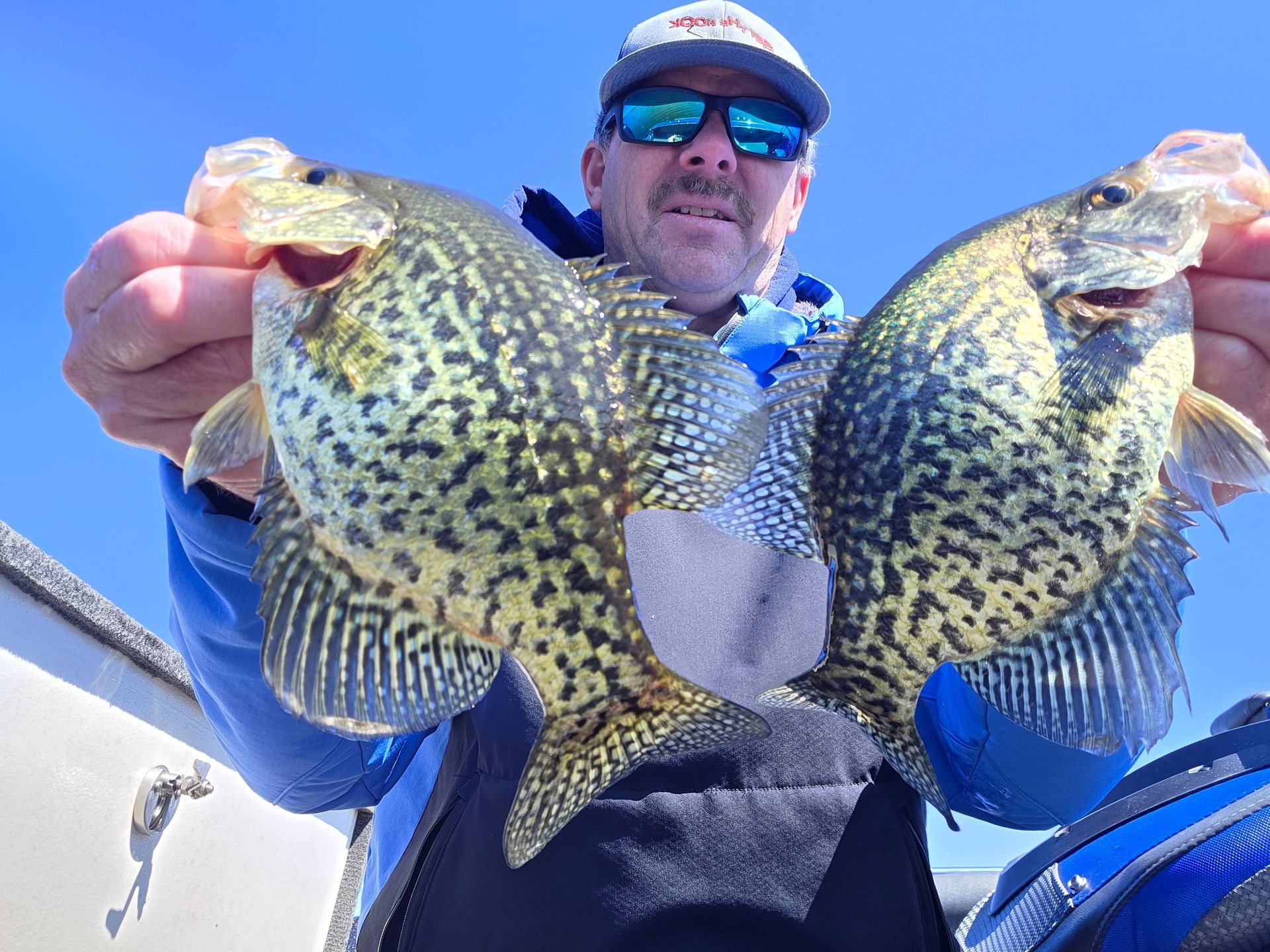The crappies I caught fishing on Lake Minnetonka on Friday.