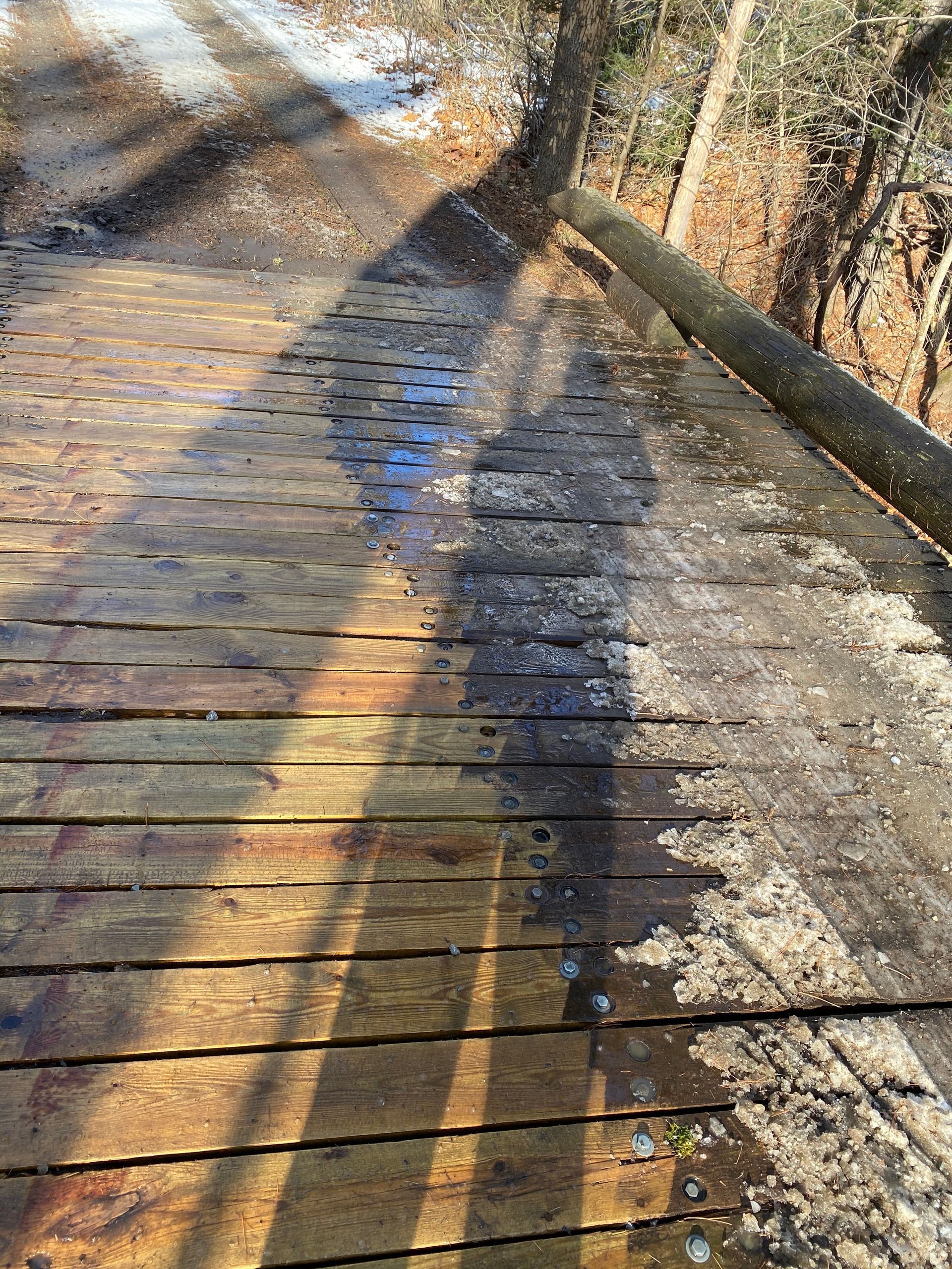 Monster Power Washing Wood Bridge Cleaning