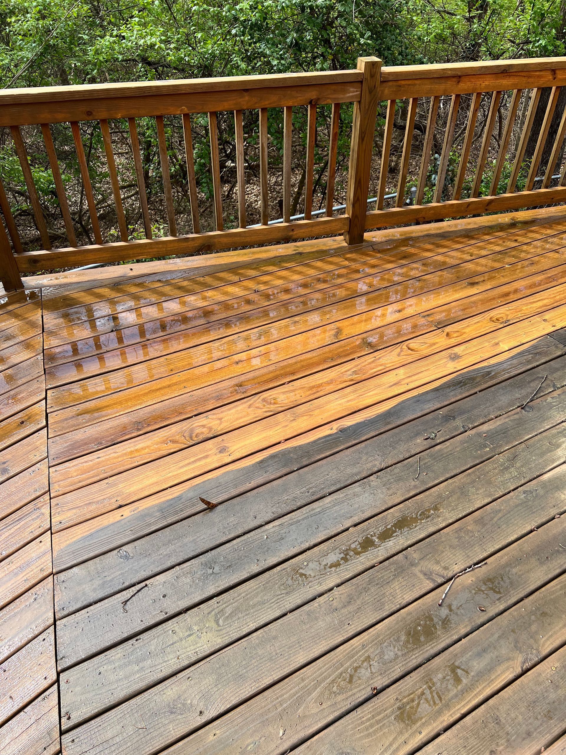 Monster Power Washing Sidewalk Cleaning