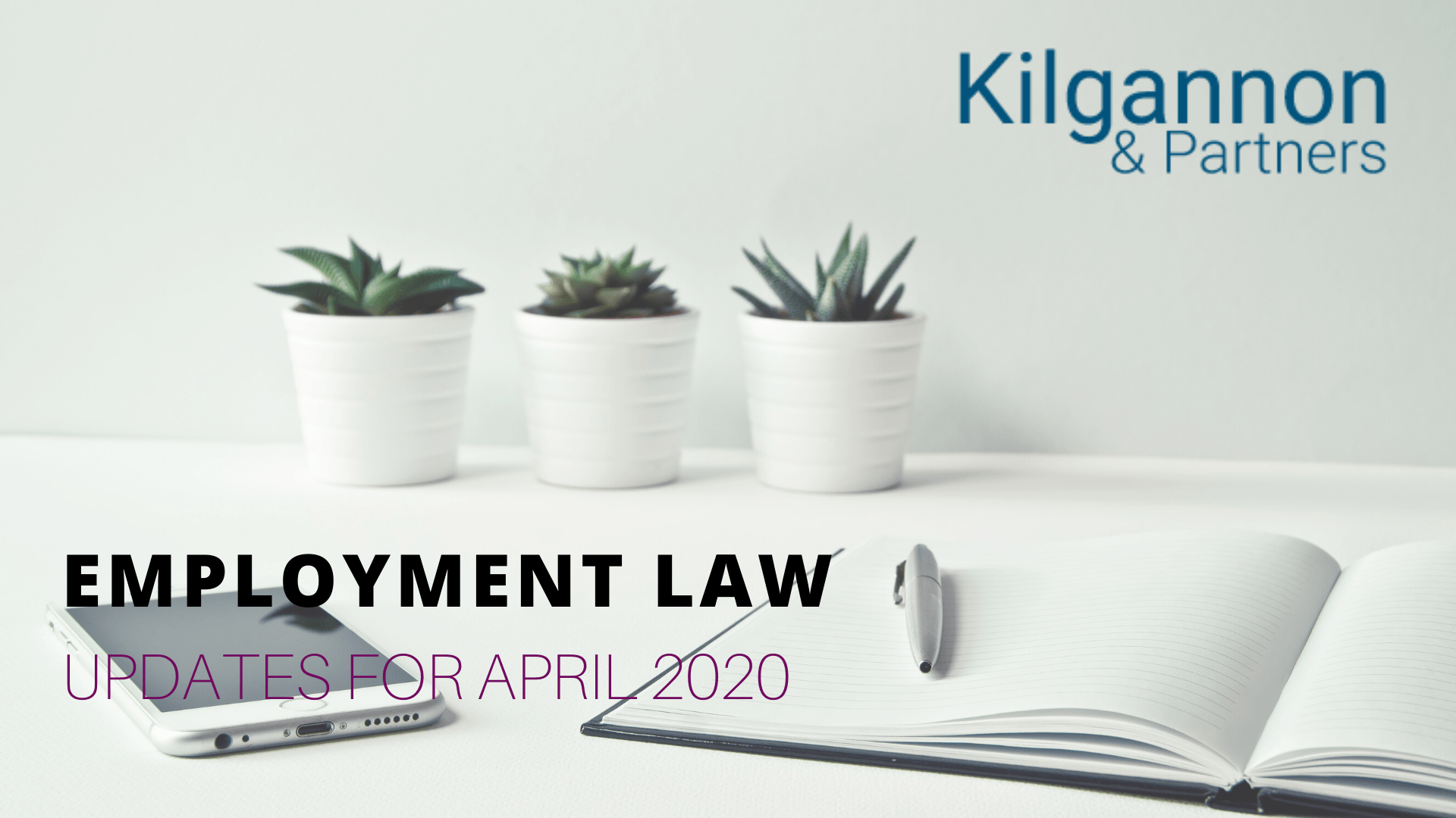 employment law update, employment law, solicitor