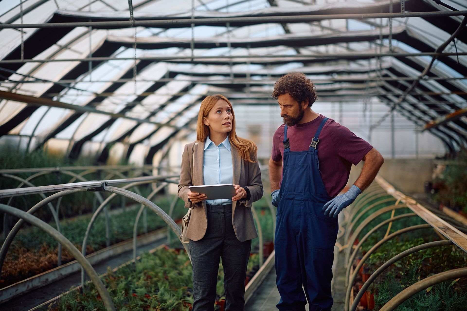 Woman with tablet and farmer in overalls discussing in greenhouse.