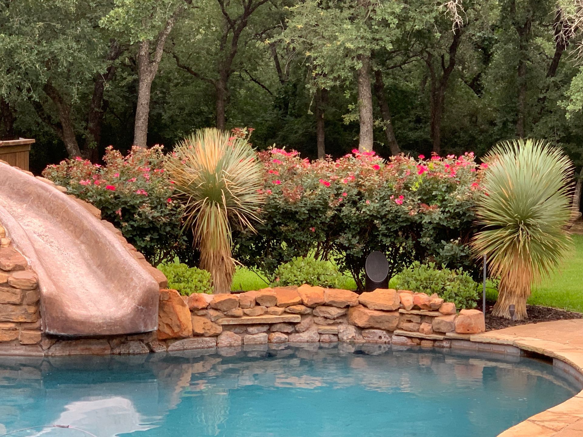 A swimming pool with a slide and trees in the background