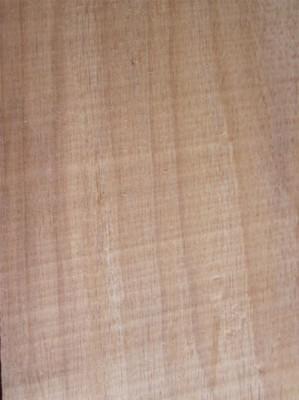 Maderera San Luis S.A.C