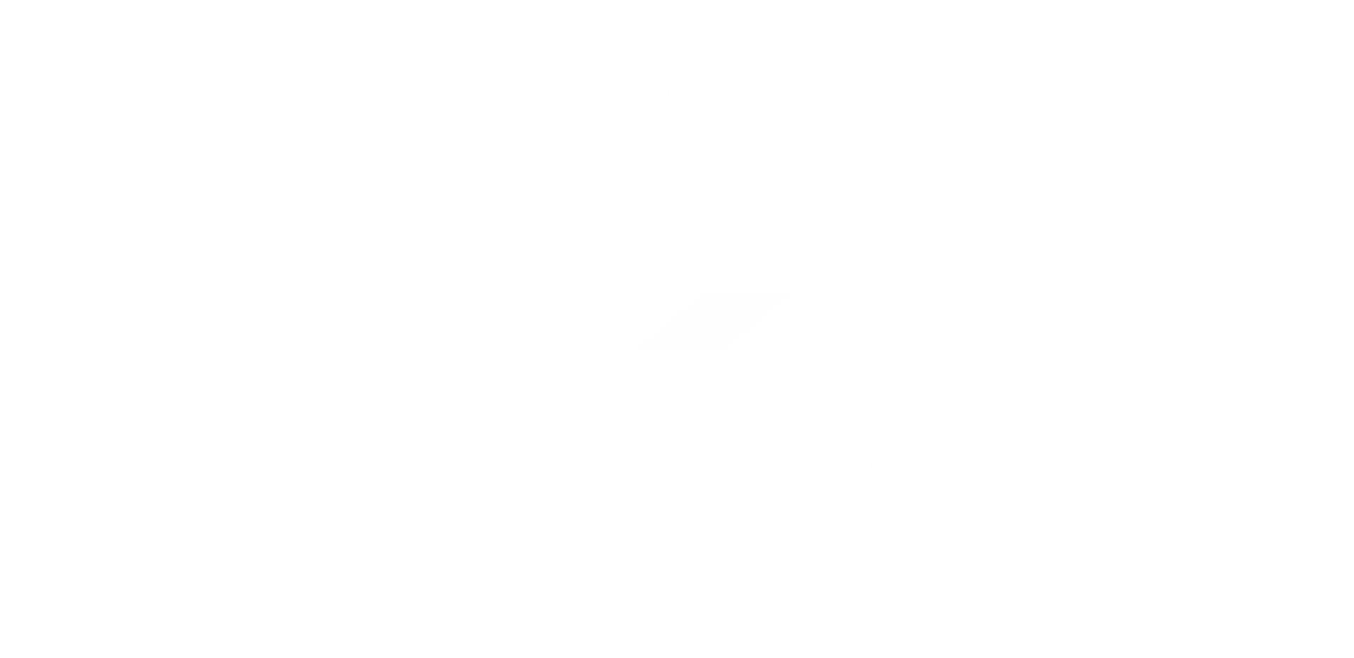 Blank white image with no visible content