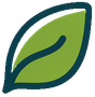 A green leaf with a blue outline on a white background.