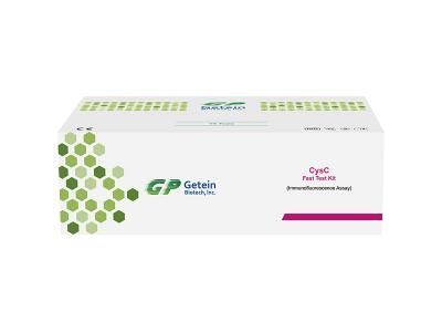 Rapid Test