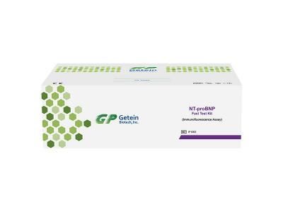 Rapid Test