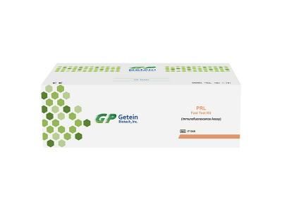 Rapid Test