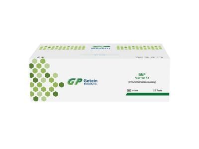 Rapid Test