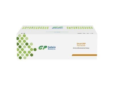 Rapid Test