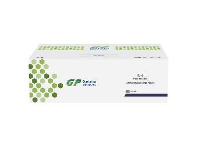 Rapid Test