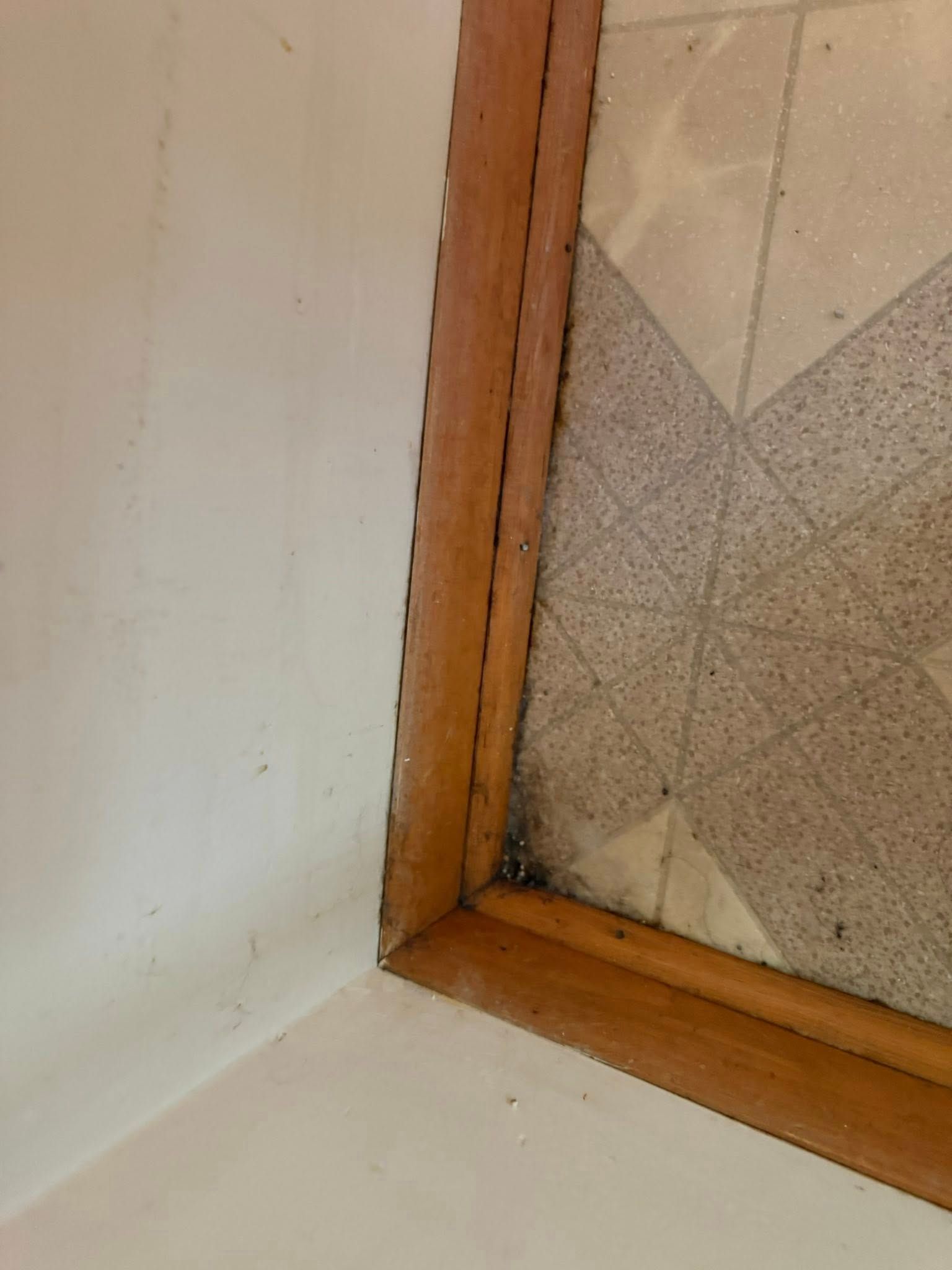 Corner of a room showing floor and wall with a wooden trim; possible mold on the trim.
