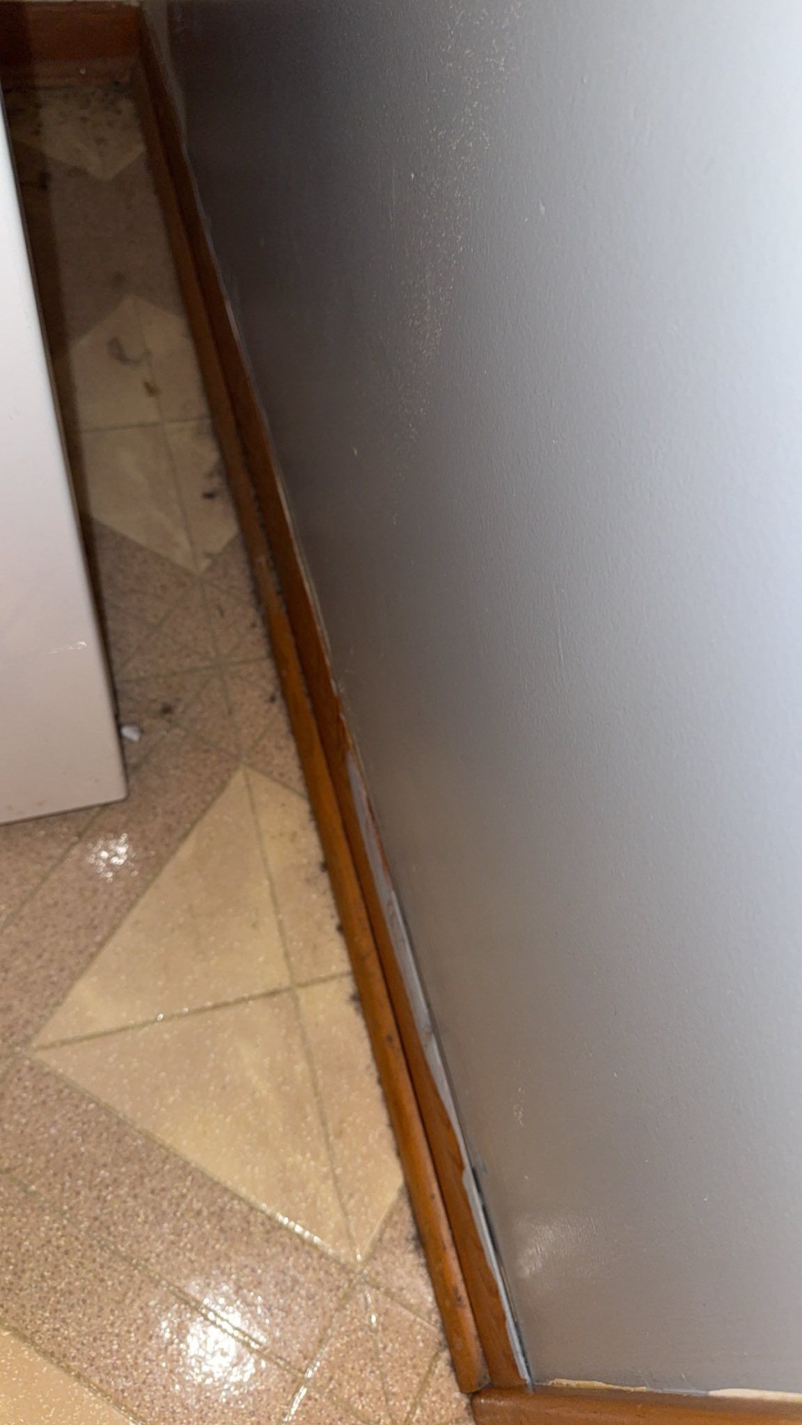 Close-up view: corner of a room. Wall, floor, and trim are visible. Floor is tiled.