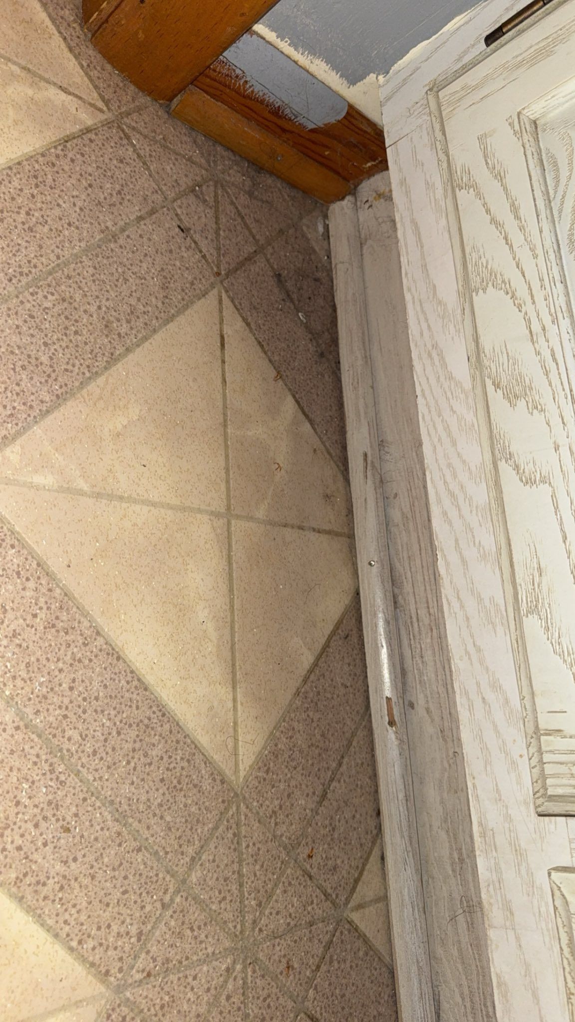 Tiled floor with a diamond pattern next to a white cabinet. Wooden trim at the top.