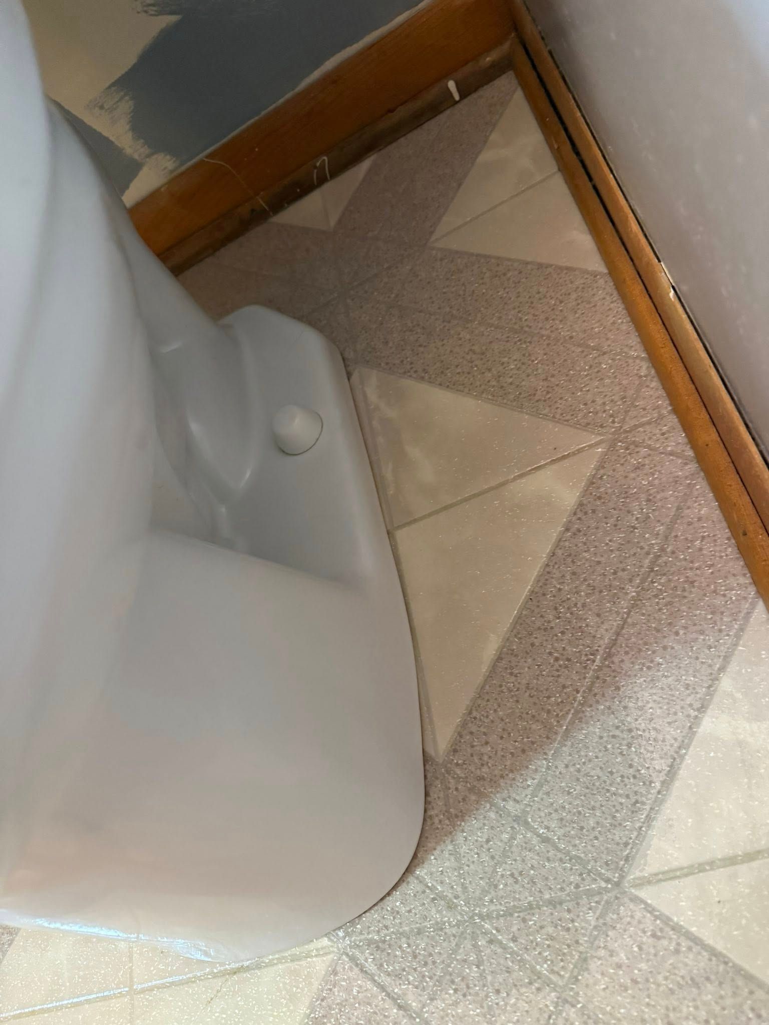 Toilet by patterned floor tiles in a bathroom; wooden trim along walls.