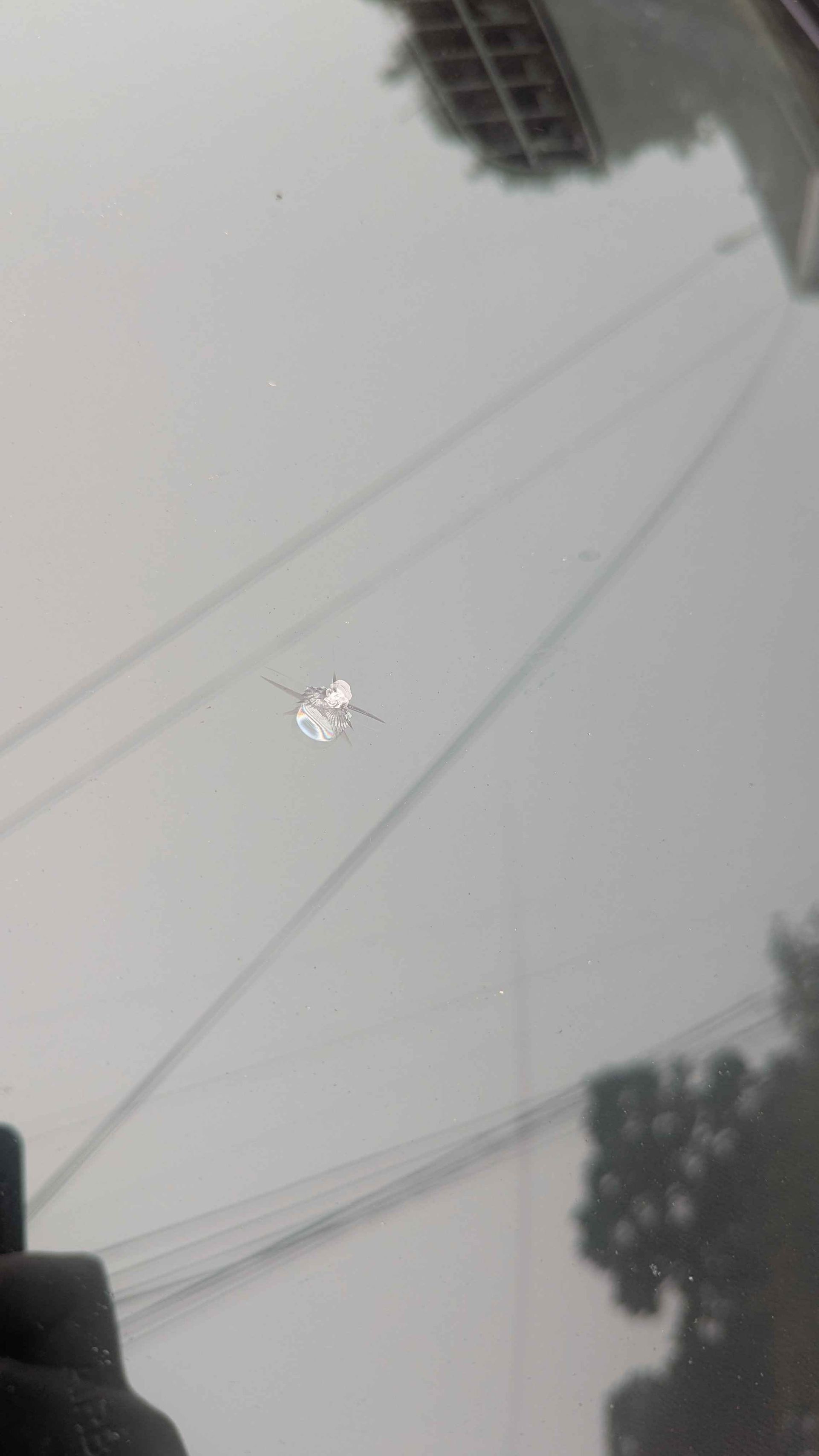 Windshield with a central spiderweb-shaped crack.