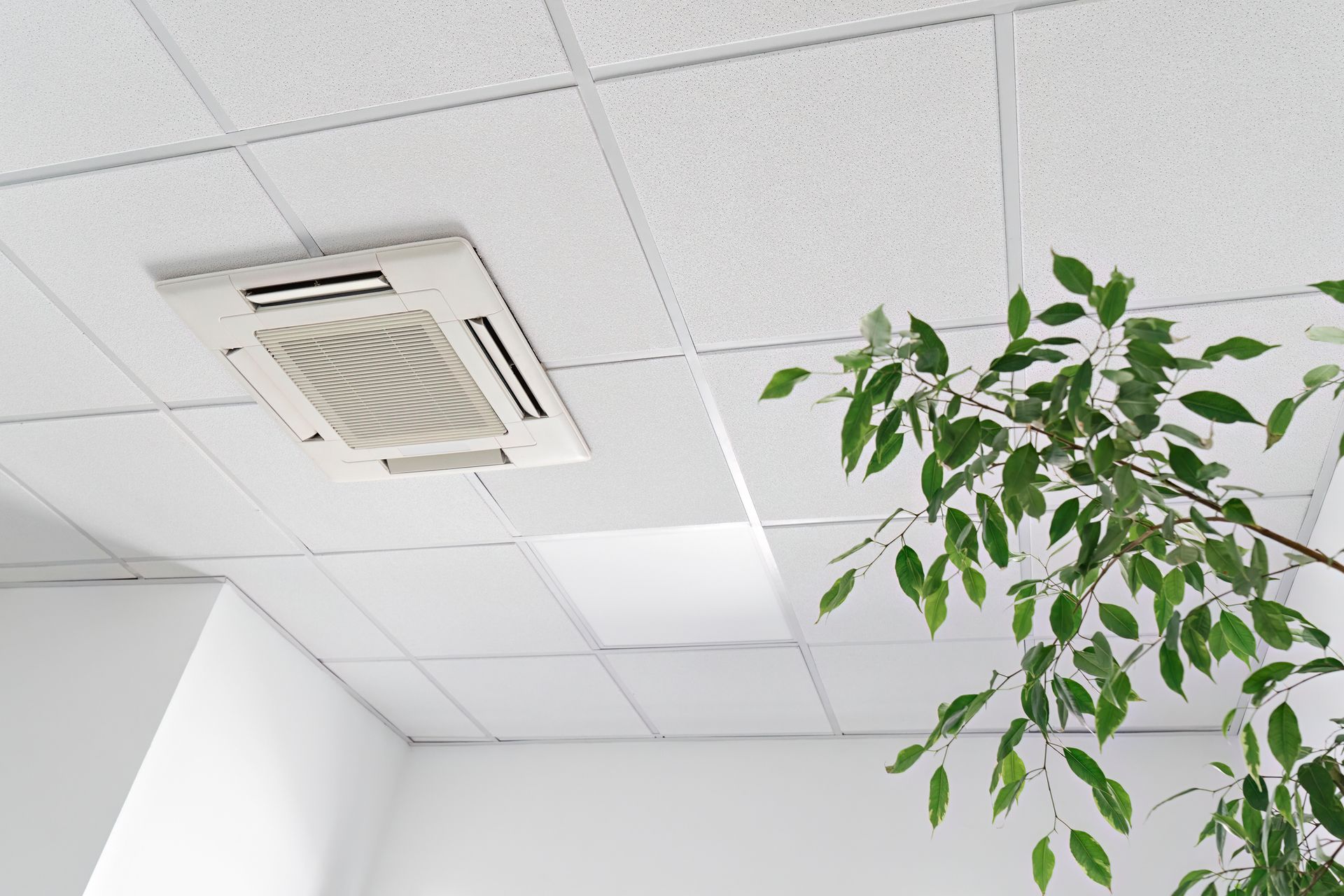 Ceiling-mounted air conditioning unit in a white-tiled ceiling. A potted plant with green leaves is in the right corner.