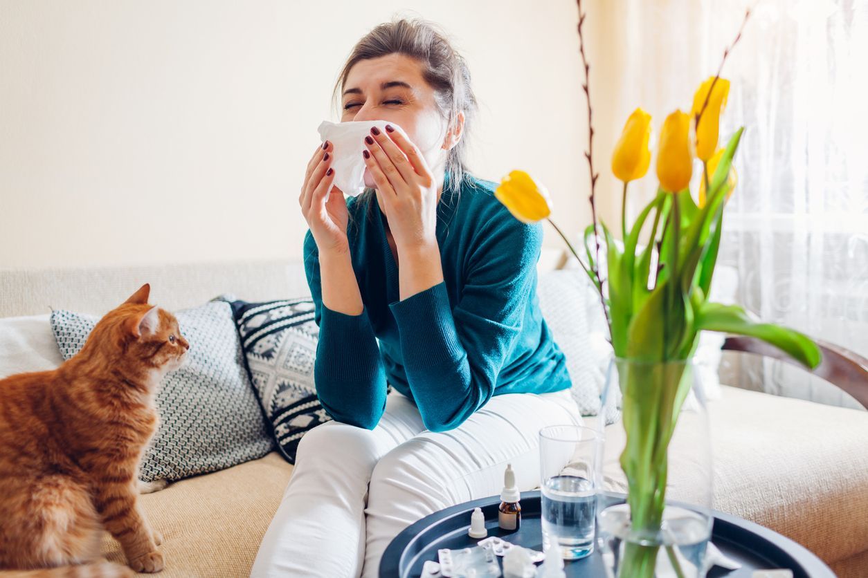 Woman with allergies sneezing, sitting on sofa with cat and flowers.