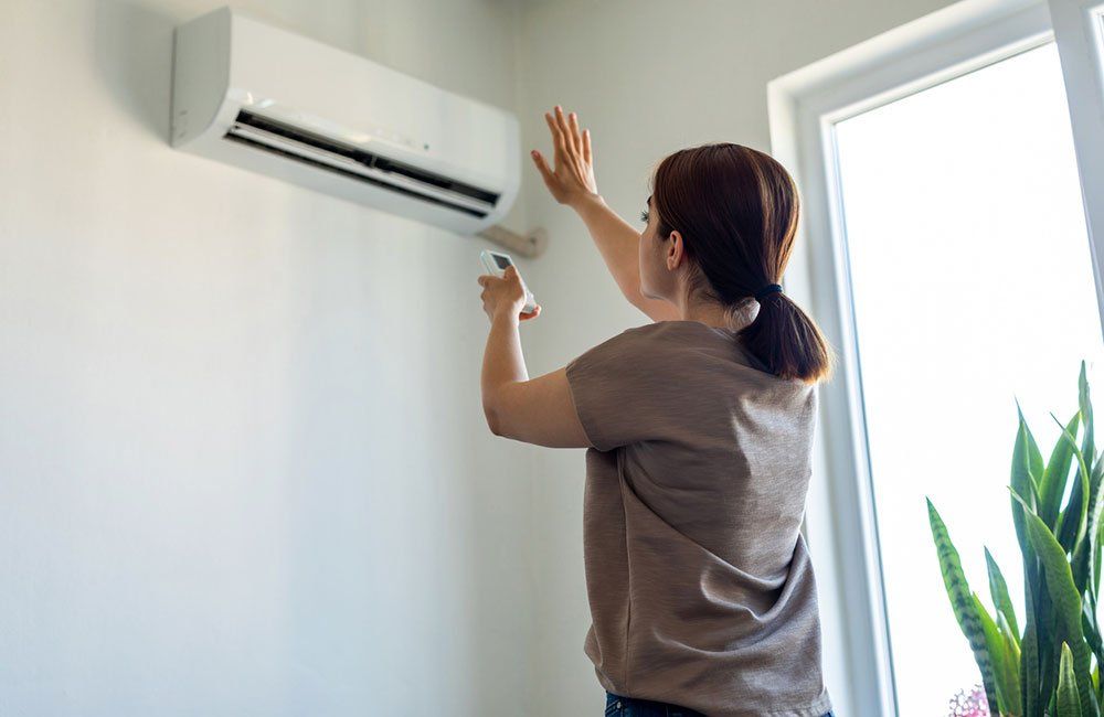 Woman using a remote to control a wall-mounted air conditioner, near a window and a potted plant.