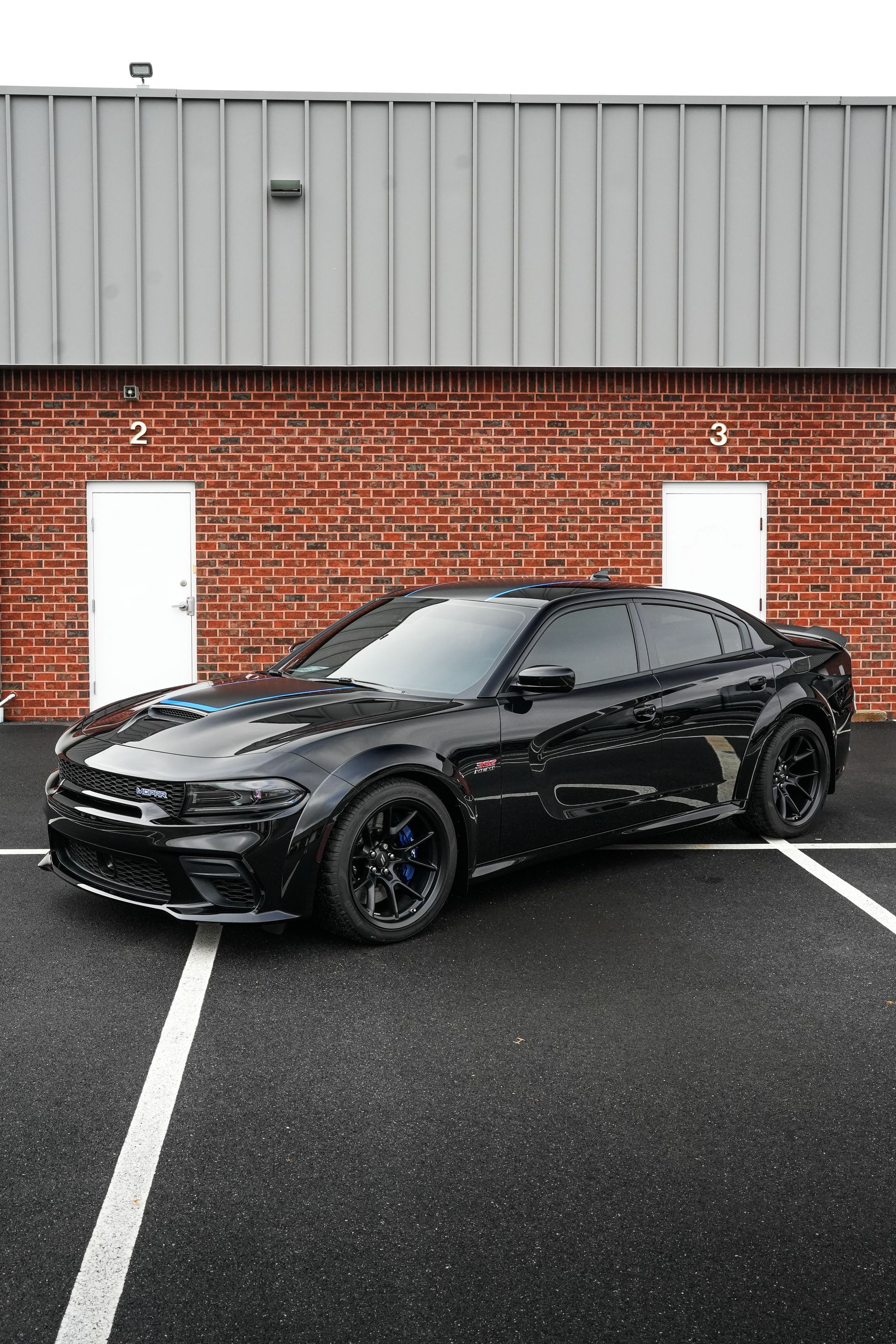 Paint protection film install