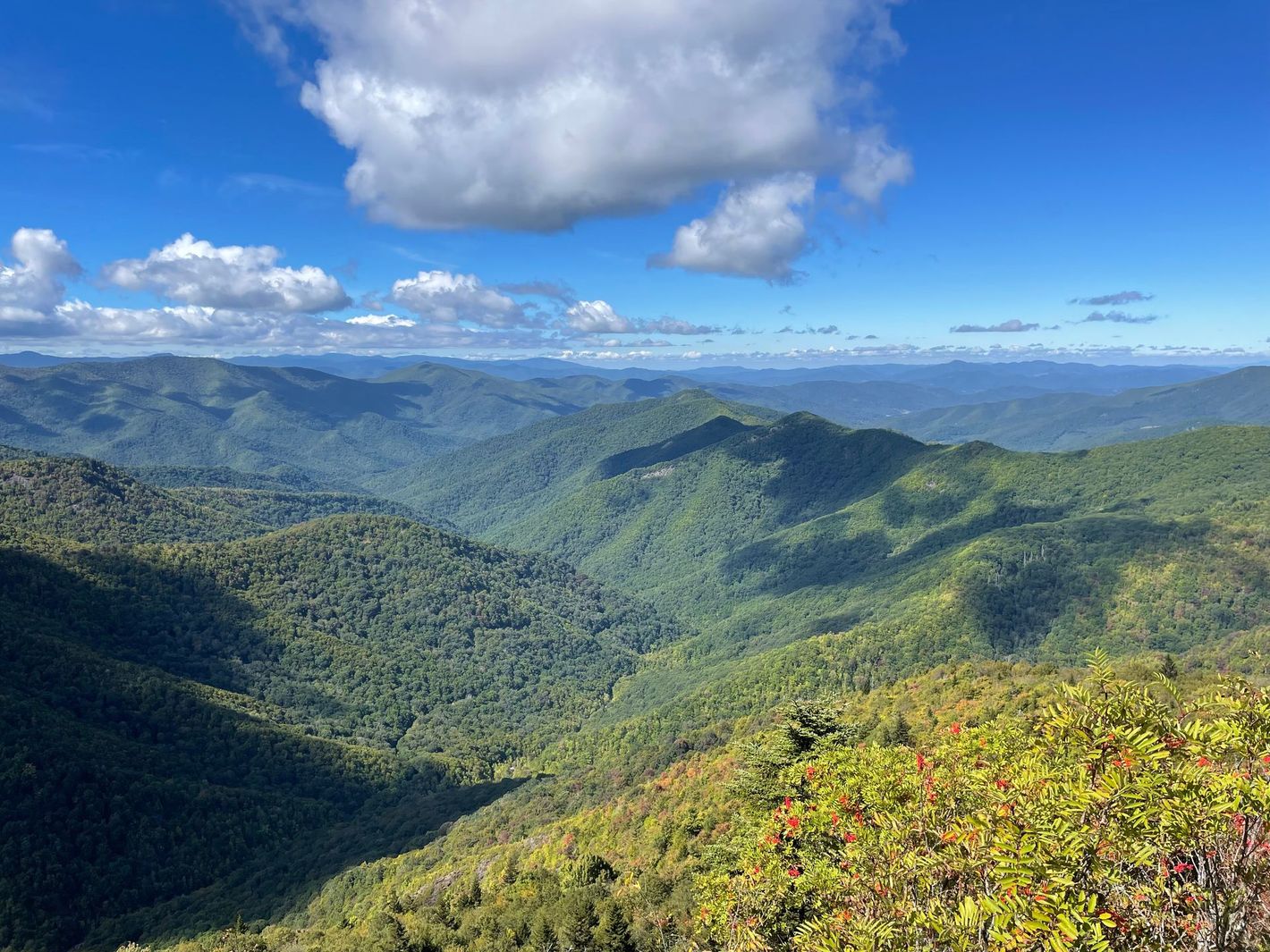 The viewpoint from Sam Knob, which is a hike taken from the Blue Ridge Parkway.