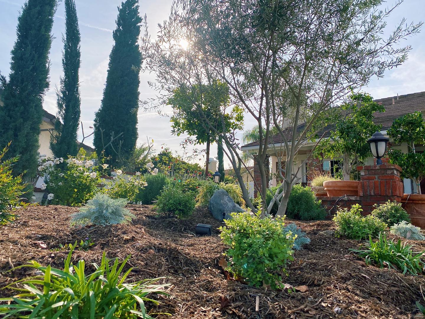 Water Conservation Programs