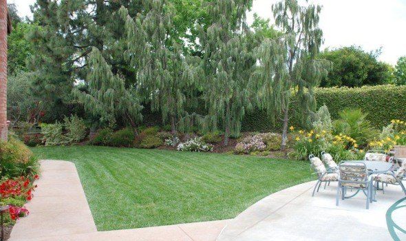 Commercial Maintenance Service Programs