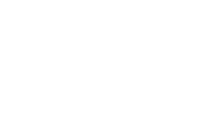 logo-image
