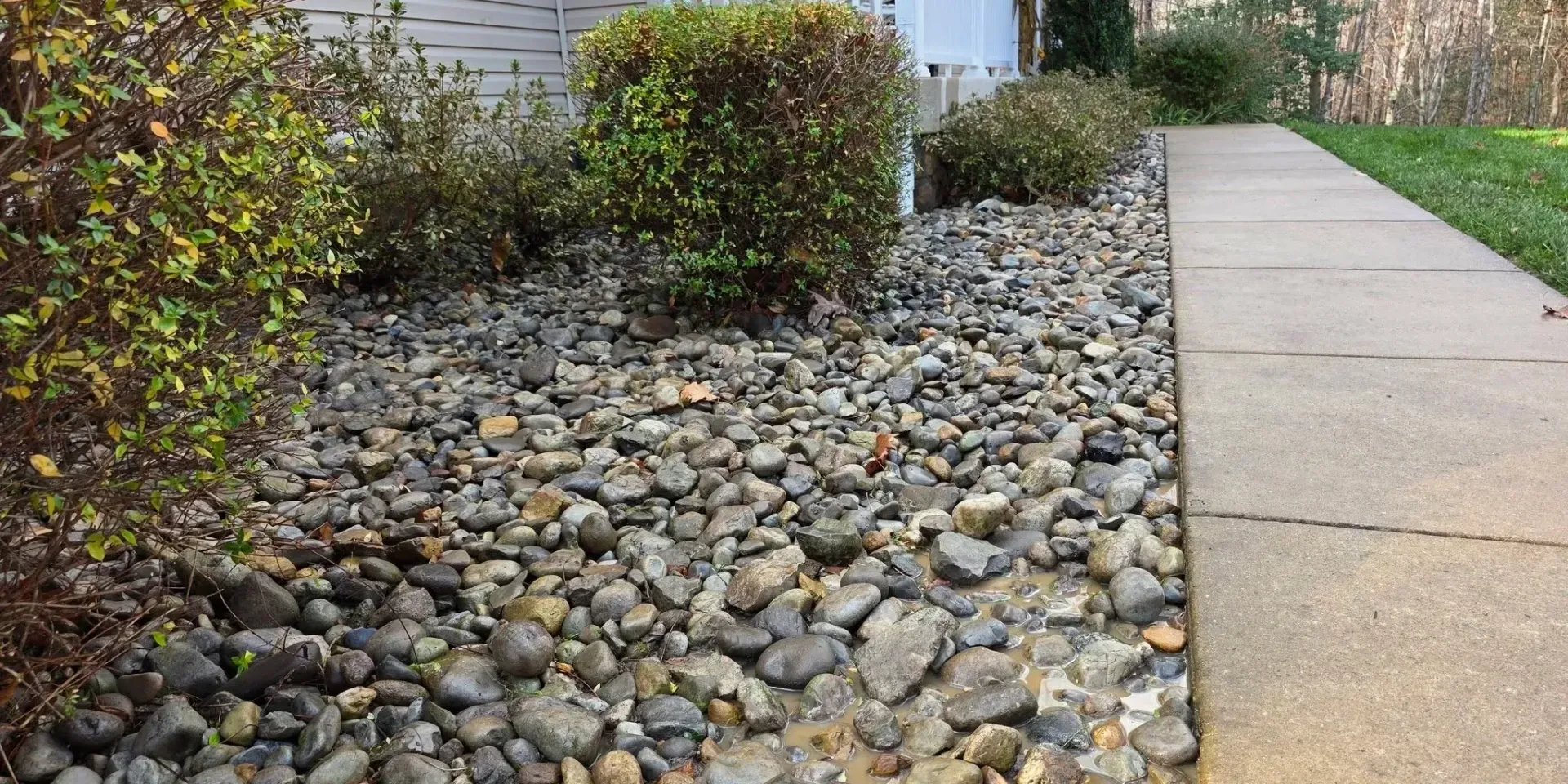 Rocky gravel garden bed with shrubs beside a concrete sidewalk