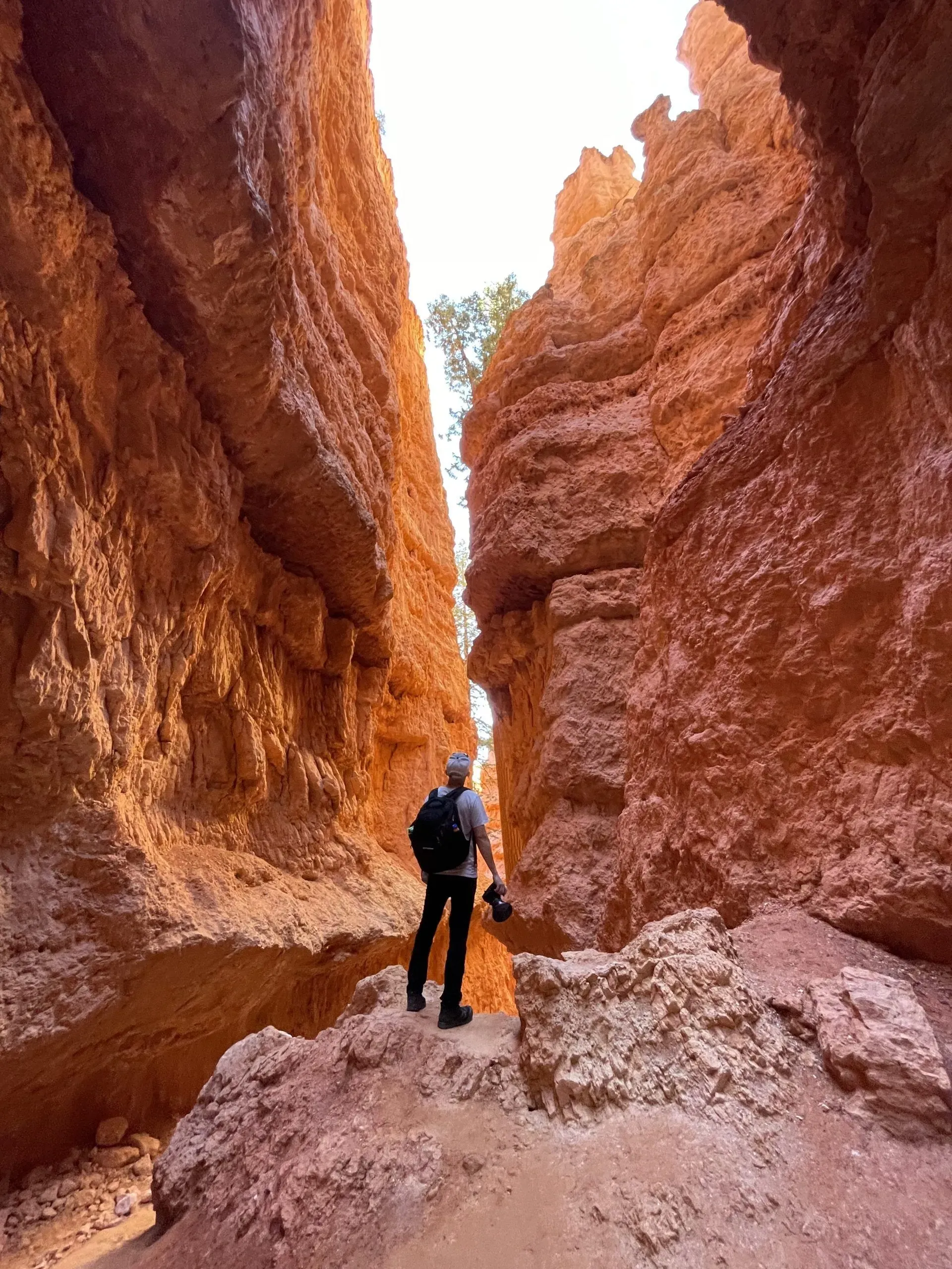 Person standing in a narrow red-rock canyon, looking up between tall orange cliffs.