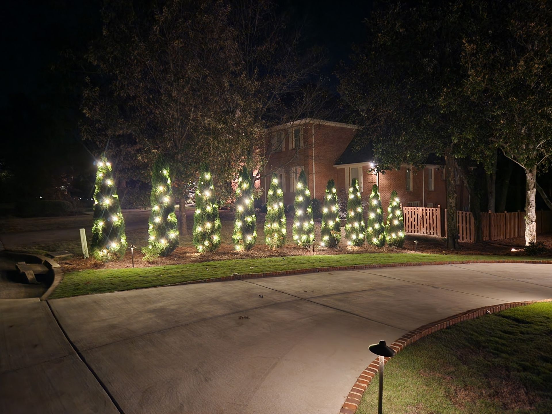 Christmas lights illuminate trees in front of a house at night, on a gray driveway.