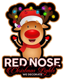 Red Nose Christmas Lights