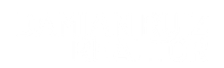 Damian Ruiz Logo