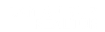 Damian Ruiz Logo