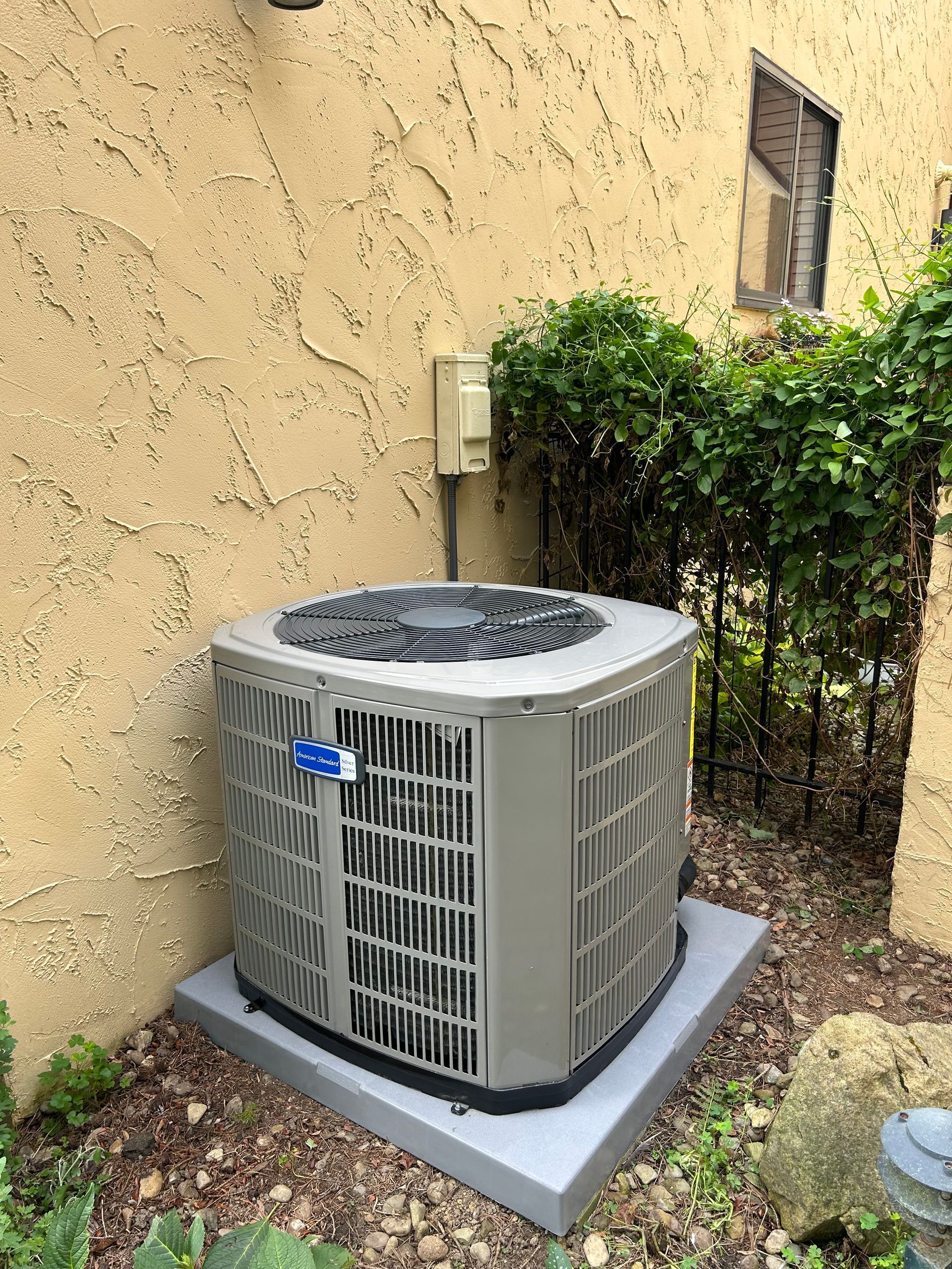 Air conditioning unit on a gray concrete pad, next to stucco wall and green shrubs.
