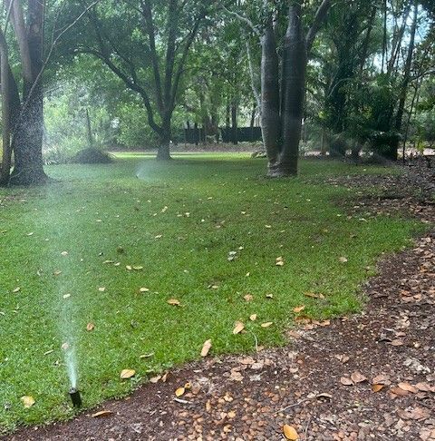 A sprinkler is spraying water on a lush green lawn in a park.