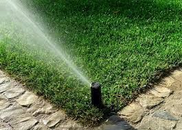 A sprinkler is spraying water on a lush green lawn.