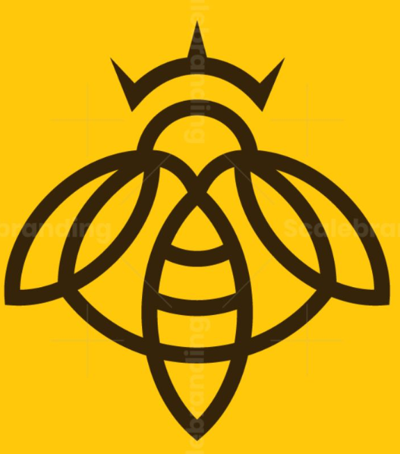 STARTER Storage Case